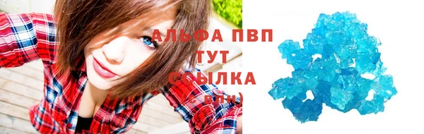 ешки Бородино
