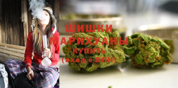 стафф Снежногорск