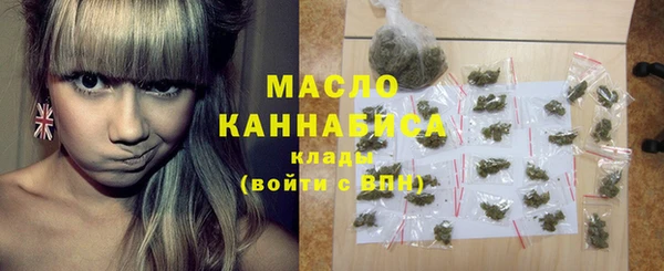 ешки Бородино