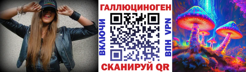 Псилоцибиновые грибы Psilocybe  Медногорск 