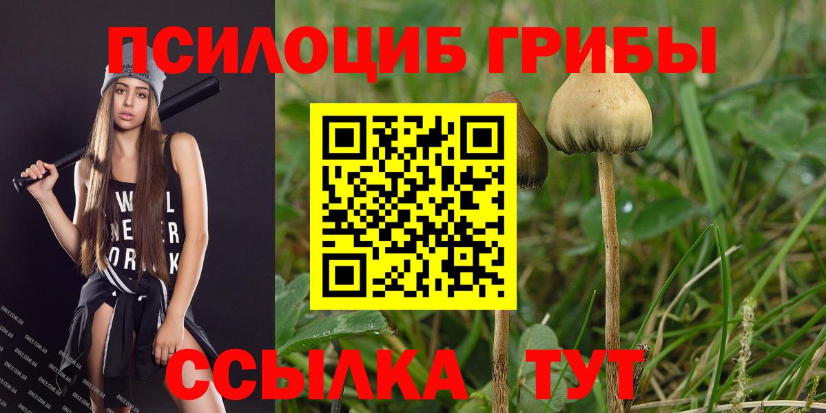 Псилоцибиновые грибы Psilocybine cubensis  Вход с VPN  Медногорск 