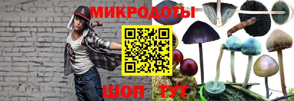 Галлюциногенные грибы Magic Shrooms Медногорск
