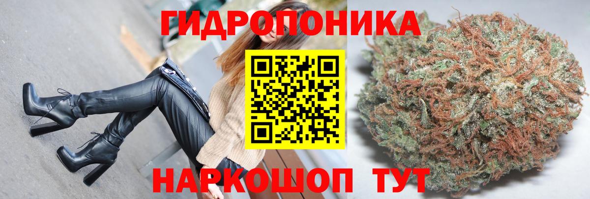 Марихуана White Widow  Вход с VPN  Медногорск  Шишки марихуана марихуана 